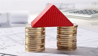 房產(chǎn)經(jīng)紀(jì)人服務(wù)欠透明，十位借款人陷入財(cái)務(wù)困境